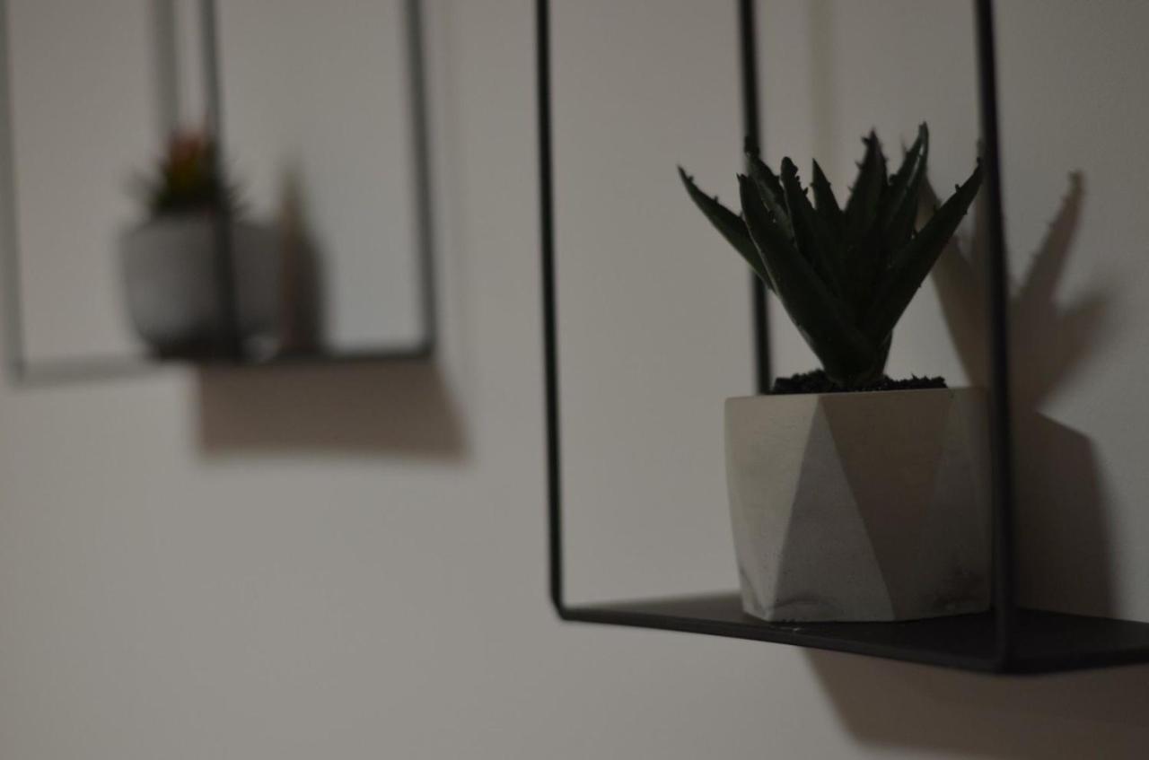 Apartman N&A Novi Sad Extérieur photo